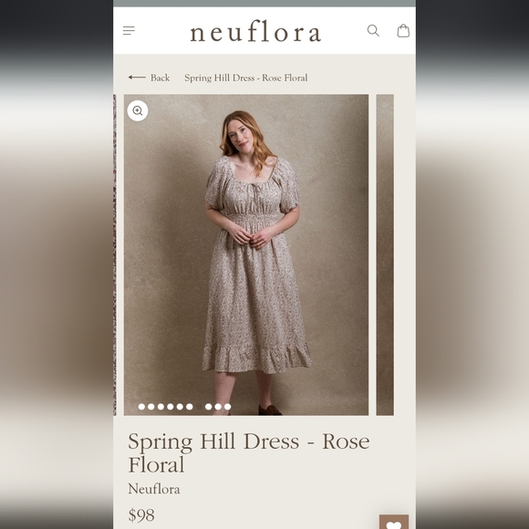 Neuflora Dresses & Skirts - ISO this Spring Hill Dress